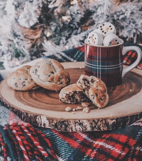 season, wintee and red