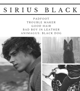 marauders, wolfstar and marauders era