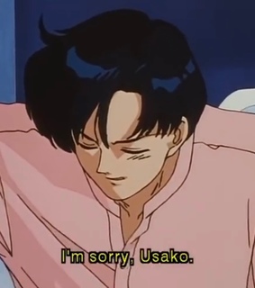 luna cat, maml and sailor mars