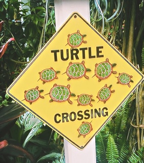 nature, yellow and aesthetic