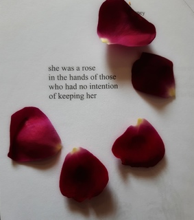 rose, milk and honey and rupi kaur poems