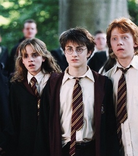 hermione, friends and potter