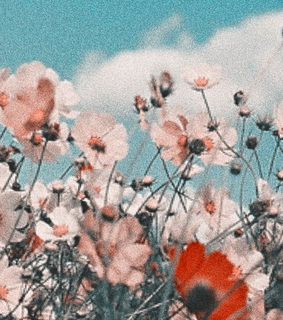 pink and light blue, kim taehyung header and header