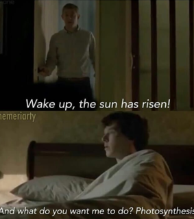 johnwatson, benedict and martinfreeman