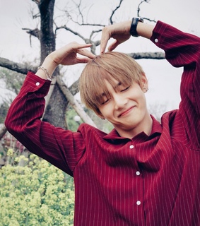 bts army, bts tae and boys