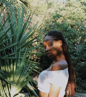 box braids, fulani braids and braids