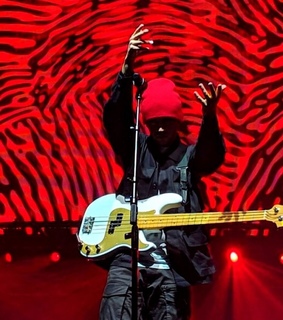 tyler twenty one pilots, skeleton clique and twenty one pilots show