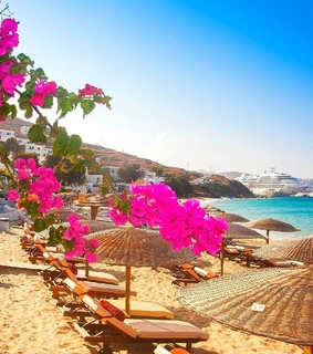 beach, island and sea