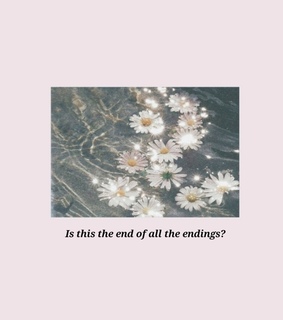 flowers, taylor swift wallpaper and aesthetic