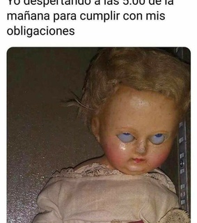 momos, gracioso and reir