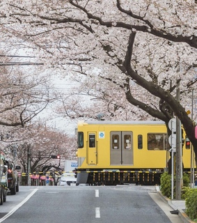 pink, aesthetic and bomi