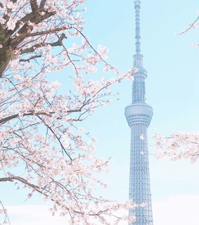 blue, nature and bomi