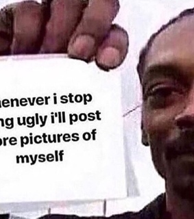 dank memes, snoop dogg and hilarious