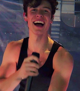 mendes army, shawn mendes and the tour