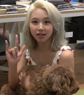 twice chaeyoung, ggroups and twice messy