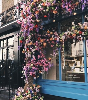 flowers, floral and cherry