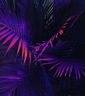 background, purple and tumblr