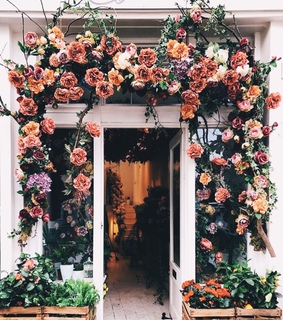 london, flowers and wisteria