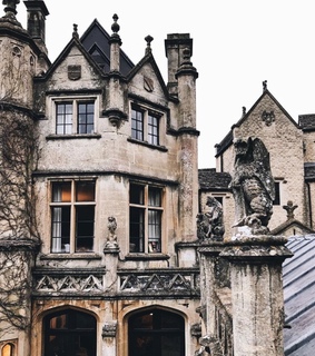 architecture, magnolia and wisteria