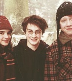ron weasley, hermione and harry potter