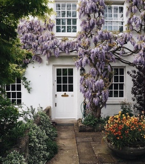 floran, beauty and decorate