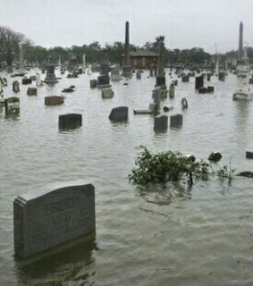 grave, graves and flower