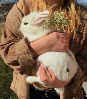 wanderlust, easter and girl