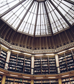 bookworm, library design and library