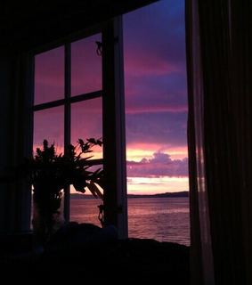 sunrise theme, tropical and sunset theme