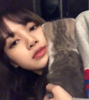 blackpink, Lalisa Manoban and lisa