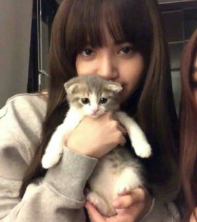 cute, Lalisa Manoban and icon