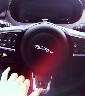 veloz, tigre and tiger