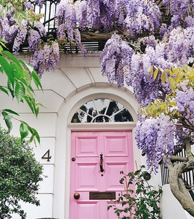 purple, london and door