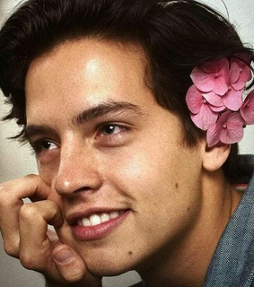 sprouse, icon and cole