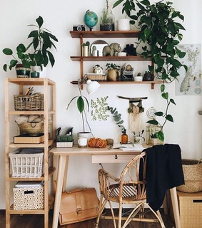 plants, photography and gypsy