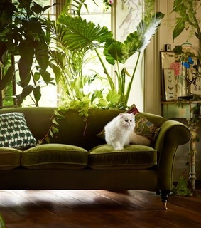 interior, vintage and home