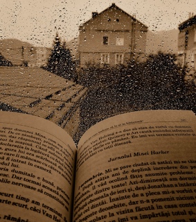 vintage, romania and mina harker