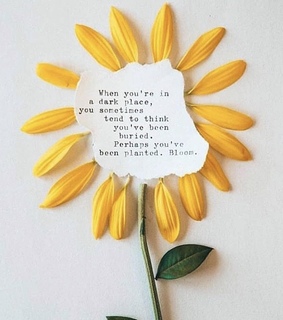 grow, dark and flower