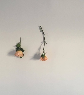 brown feed, feed and aesthetic feeds