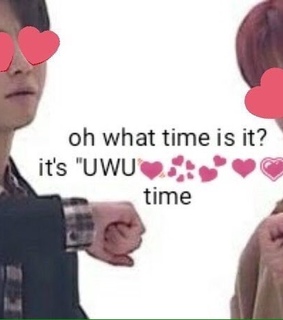 memes, pure and wholesome meme