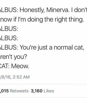 witty, twitter and funny tweets