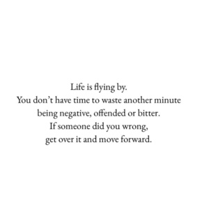 inspiration, motivation and flies