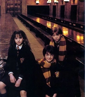 ronald, hermione granger and griffindor