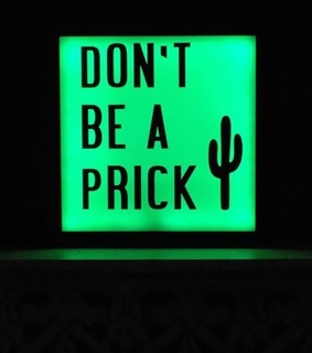 cactus, aesthetically and green