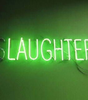 lights, theme and aesthetically