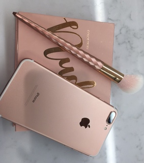 rose, brush and aesthetic