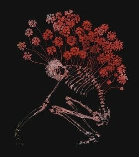 skeleton, flowers and macabre