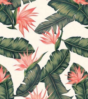 alaskaa, fondos de pantalla and wallpapers