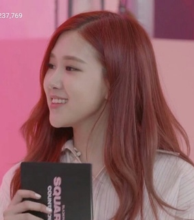 icons, lisa and korea