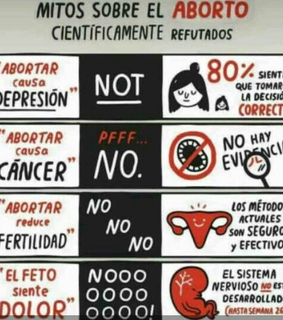 argentina aborto, mitos sobre el aborto and feminismo